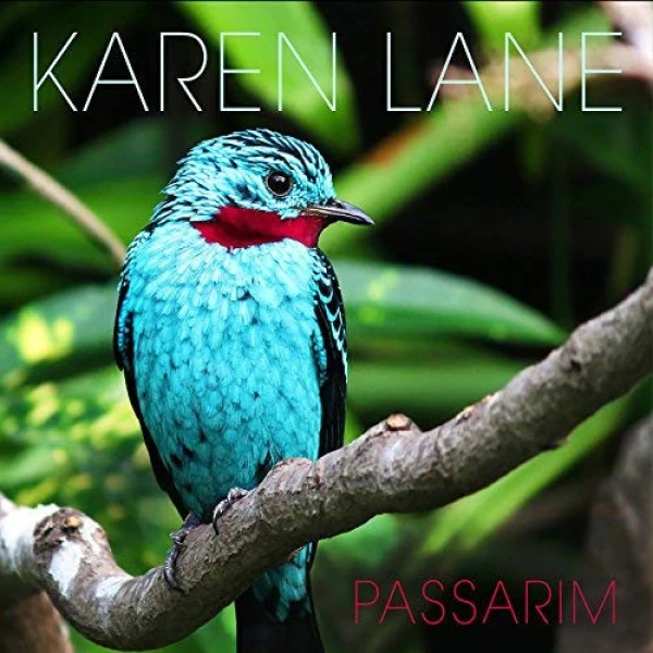 Passarim album cover.